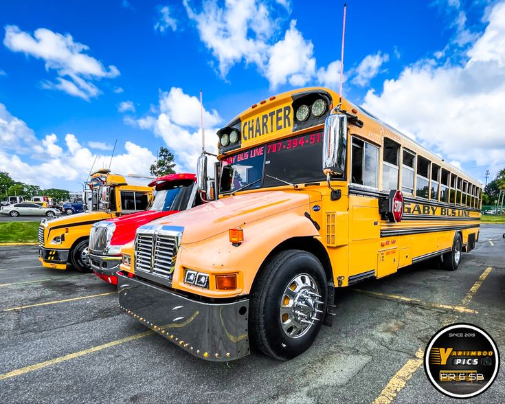 two yellow school buses parked in a parking lot