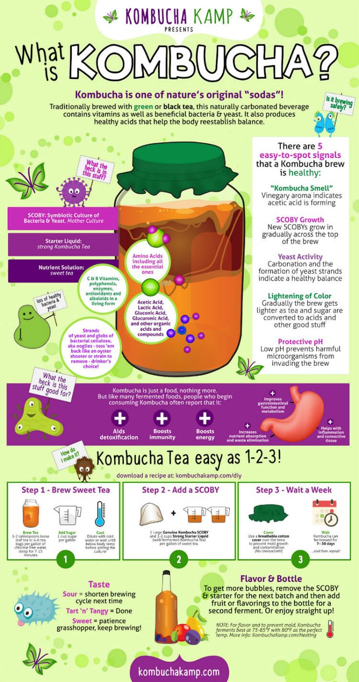 a poster with information about kombucha