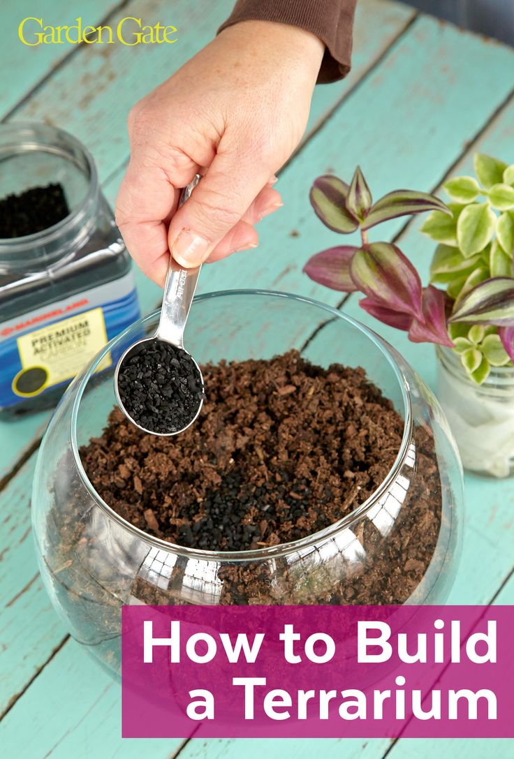 a person scooping soil into a bowl on a table with plants in the background and text overlay reading how to build a terrarium