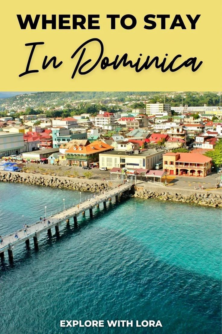 the cover of where to stay in domunica