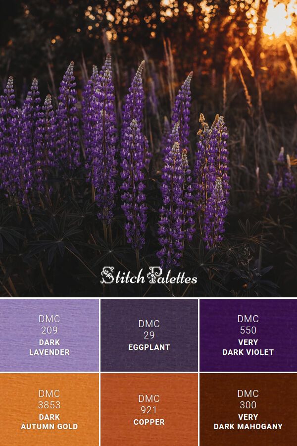 the color palette for stitch radelos is shown in shades of purple, orange and yellow