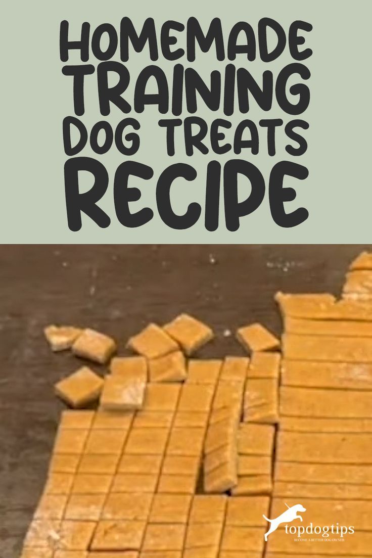 Homemade Training Dog Treats Recipe Beef Treats For Dogs, Peanut Butter Training Treats, Soft Chew Dog Treat Recipe, Homemade Training Dog Treats, How To Make Training Treats For Dogs, Puppy Training Treats Homemade, Puppy Training Treats Recipe, Diy Puppy Training Treats, Low Calorie Dog Training Treats