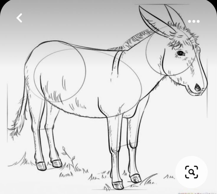 a drawing of a donkey standing in the grass