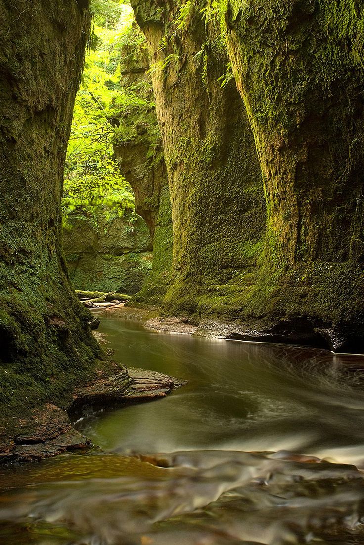 an image of a river in the middle of some mossy rocks with trees growing on them