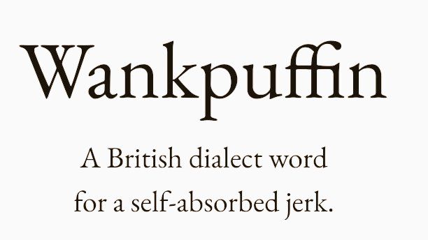 an old english font with the words'wankpuffinn '