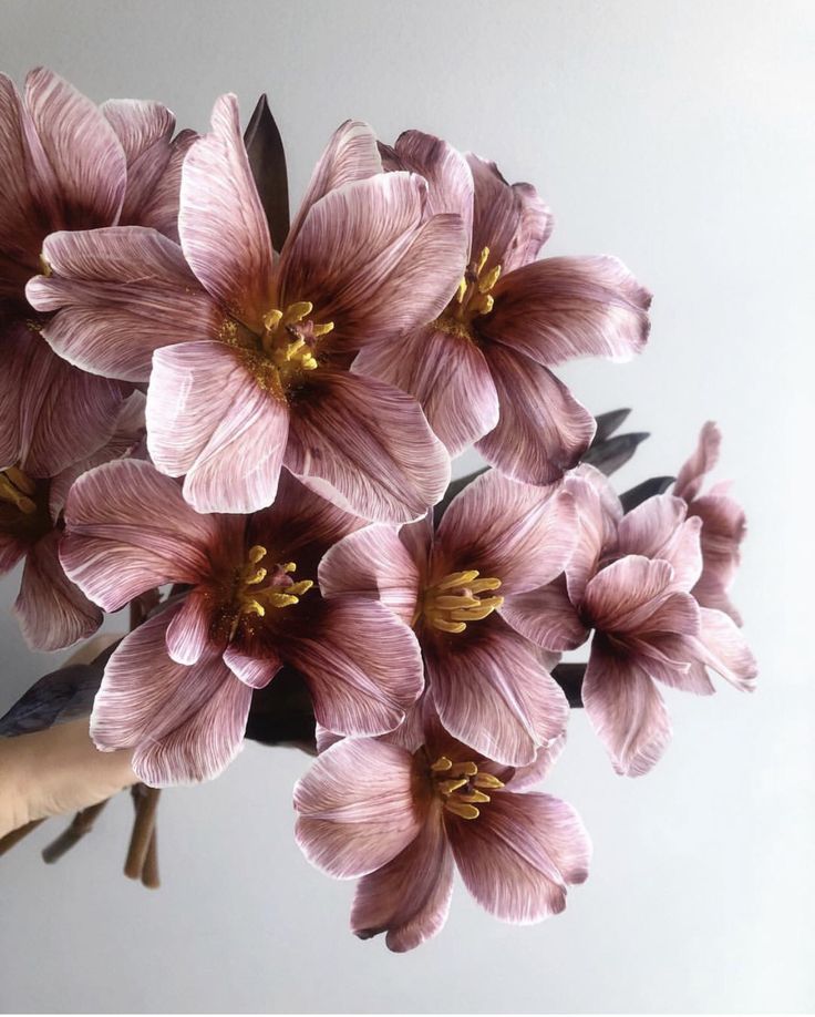 a person holding a bunch of pink flowers in their left hand, with the petals still attached