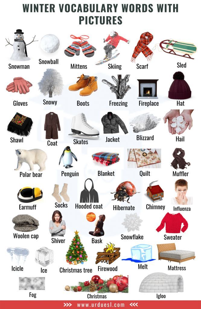 Graphic showing words related to winter season Winter Vocabulary Words, Winter Vocabulary Worksheets, Winter Vocabulary, Vocabulary Clothes, Alphabet Activities Kindergarten, Snowflake Sweater, Winter Pins, Winter Words, Fancy Words