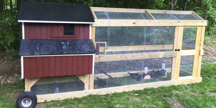 a chicken coop with chickens in it