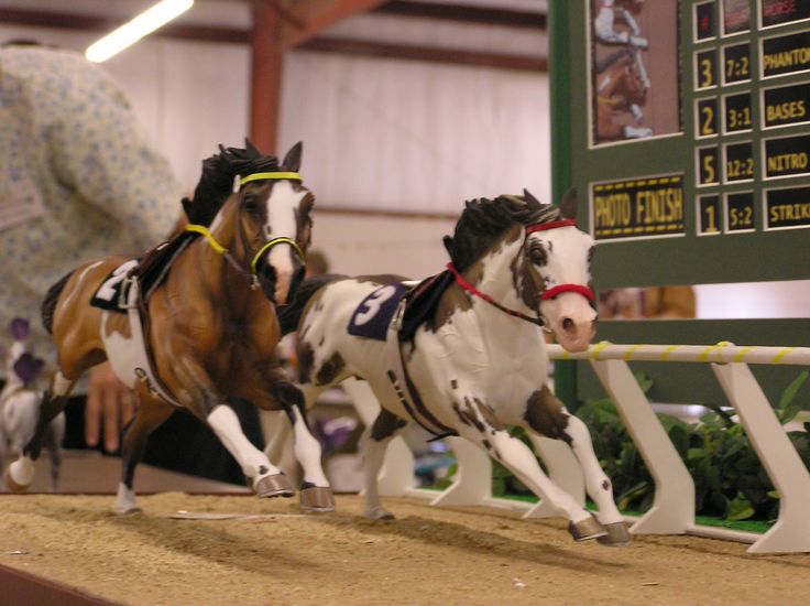 two miniature horses are running on the track