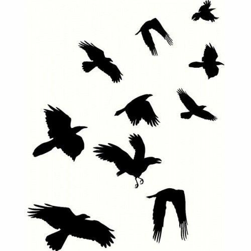 a flock of birds flying through the air