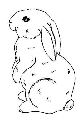 a black and white drawing of a rabbit sitting on the ground with its front legs crossed