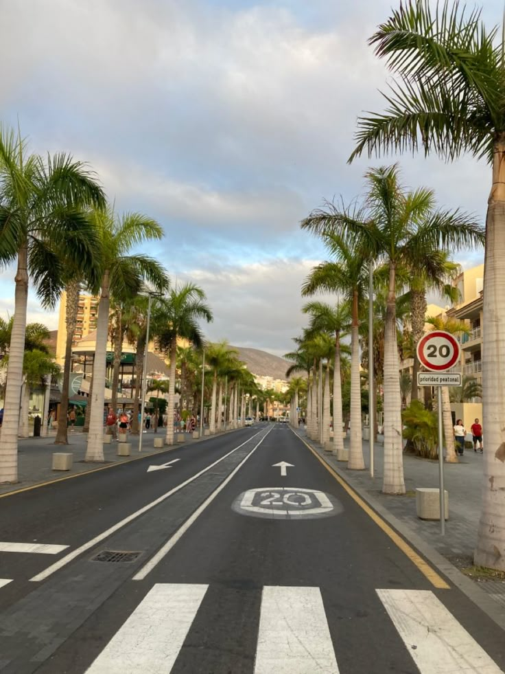 a street with palm trees on both sides and an arrow painted on the road in the middle