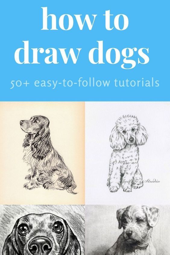 how to draw dogs book cover with four different pictures and the title in blue above it