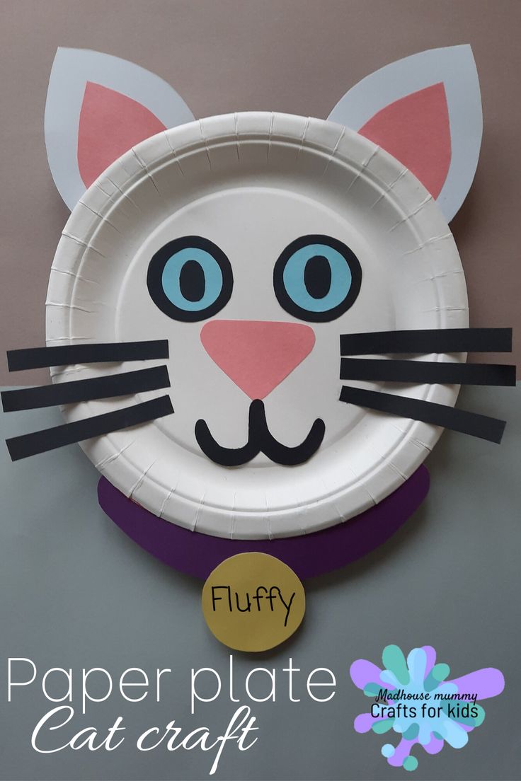 a paper plate with a cat face on it