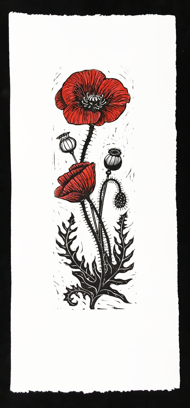 an ink drawing of two red flowers on white paper