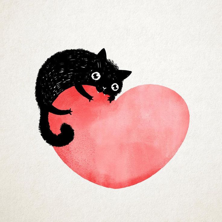 a drawing of a black cat holding a red heart