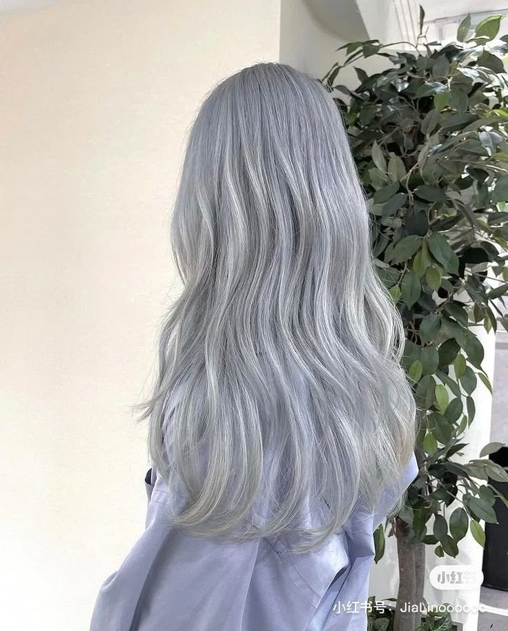 the back of a woman's head with long, wavy gray hair in front of a potted plant