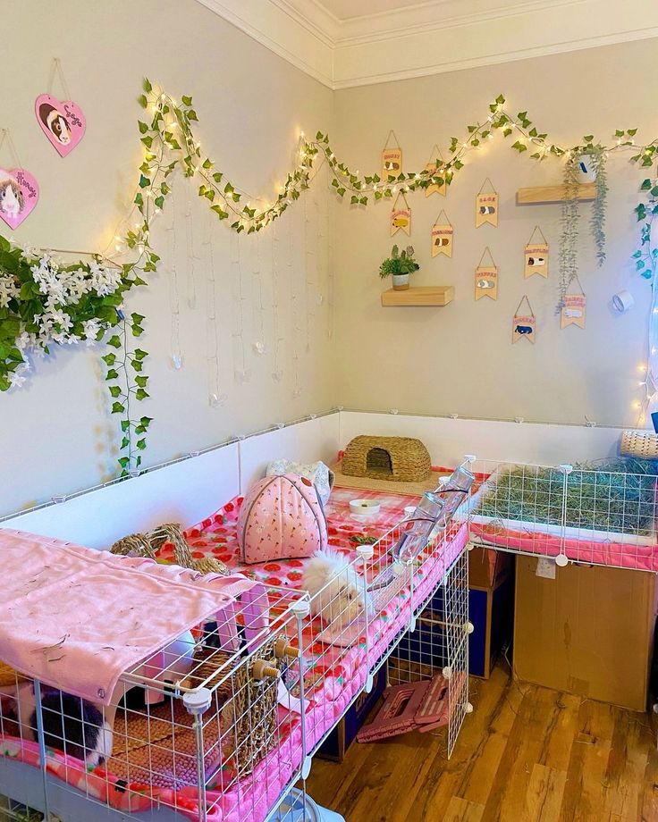 a room filled with lots of caged animals in it's beds and plants