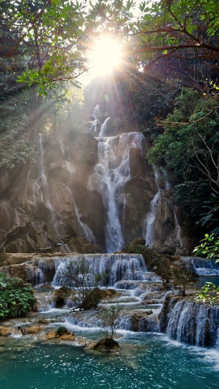 the sun shines brightly through the trees above a waterfall in the jungle, with water cascading from it's sides