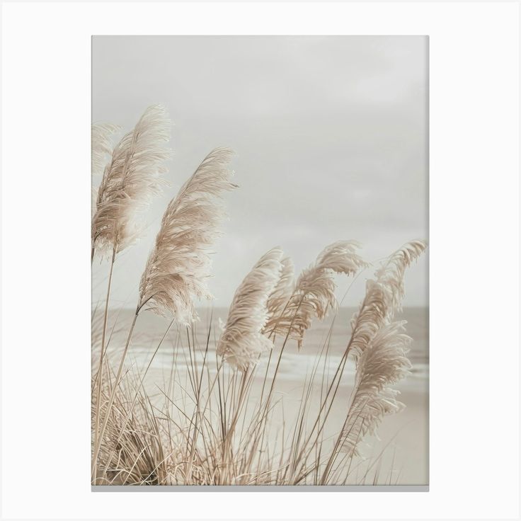 some very pretty tall grass by the water with clouds in the sky behind it and sand on the ground