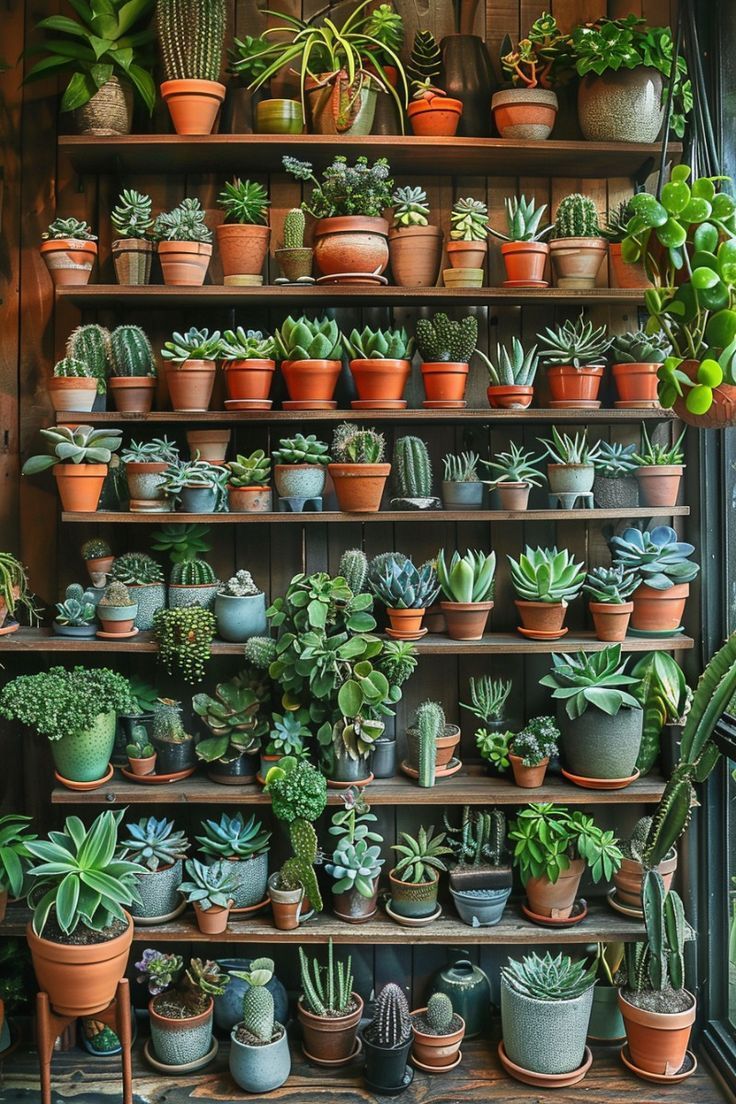 a shelf filled with lots of potted plants