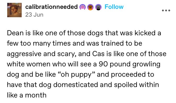 the tweet has been posted to someone about their dog's life and it is