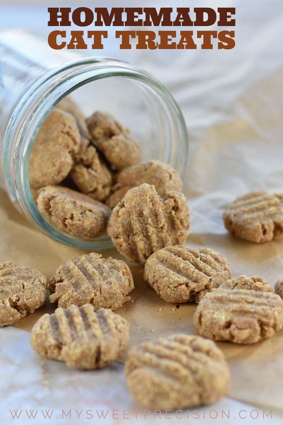 homemade cat treats in a jar with text overlay that reads, homemade cat treats