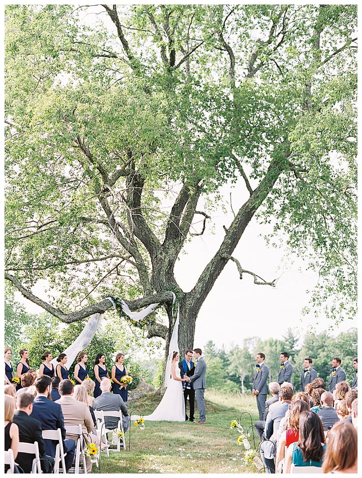 a couple getting married under a large tree