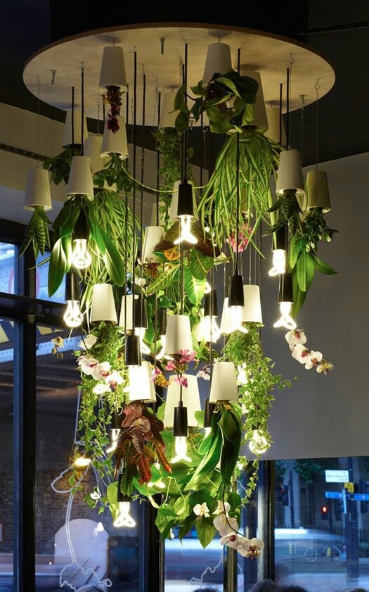 a bunch of plants that are hanging from the ceiling in front of a window with lights on them