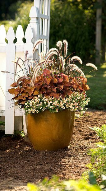 a large potted plant sitting on the ground next to a white fence