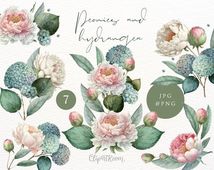 watercolor flowers and leaves clipart set for commercial use, including peonies and hydrangeas