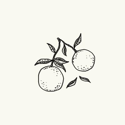 two oranges on a branch with leaves drawn by hand in black and white ink