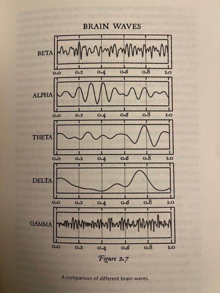 an open book with some diagrams on the page and in front of it is a diagram of brain waves