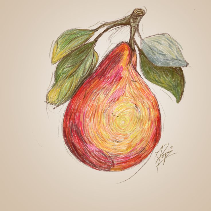 a drawing of a pear with leaves on it