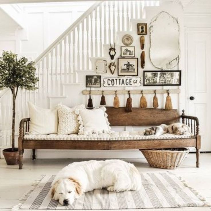 a white dog laying on top of a rug next to a wooden bench in a living room