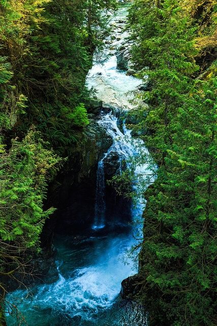 a river running through a forest filled with lots of green trees next to a waterfall