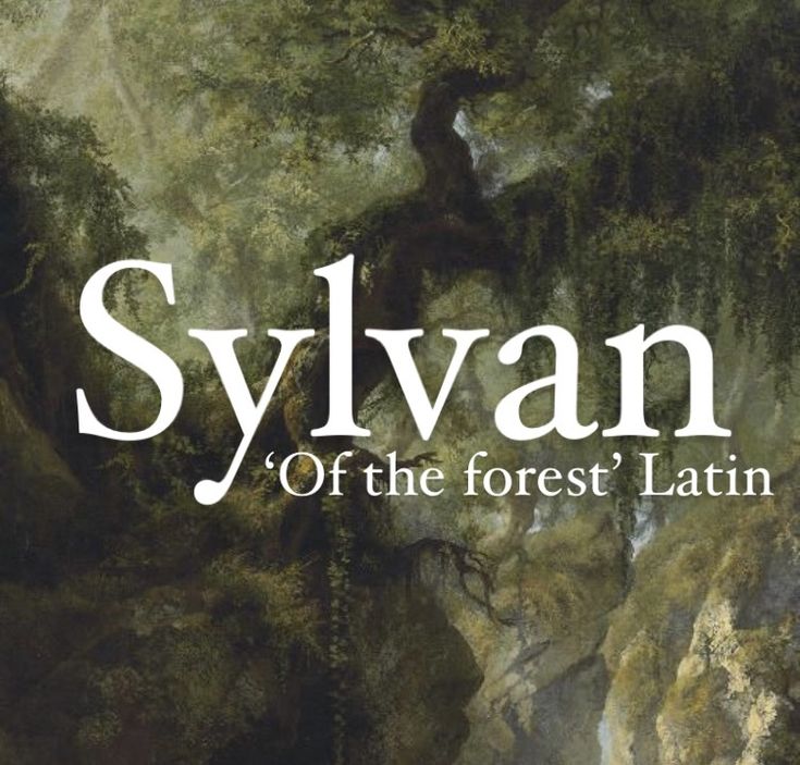 Baby boy name Sylvan. Fantasy Forest Names Ideas, Forest Names Girl, Sylvie Name, Names Meaning Forest, Fantasy Forest Names, Names That Mean Forest, Latin Last Names, Latin Surnames, Kingdom Names With Meanings