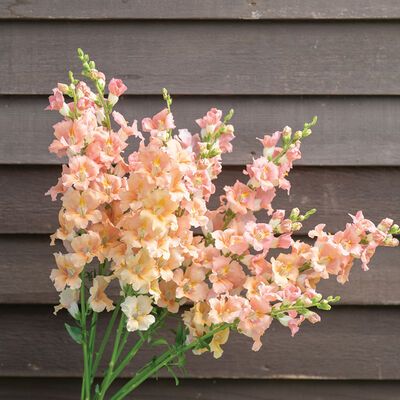 a vase filled with pink and white flowers on top of a wooden table next to a wall