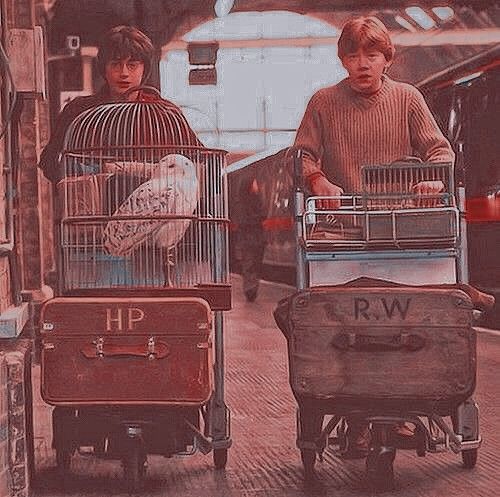 two people with luggage and birds in cages on the train platform, one is pushing a cart