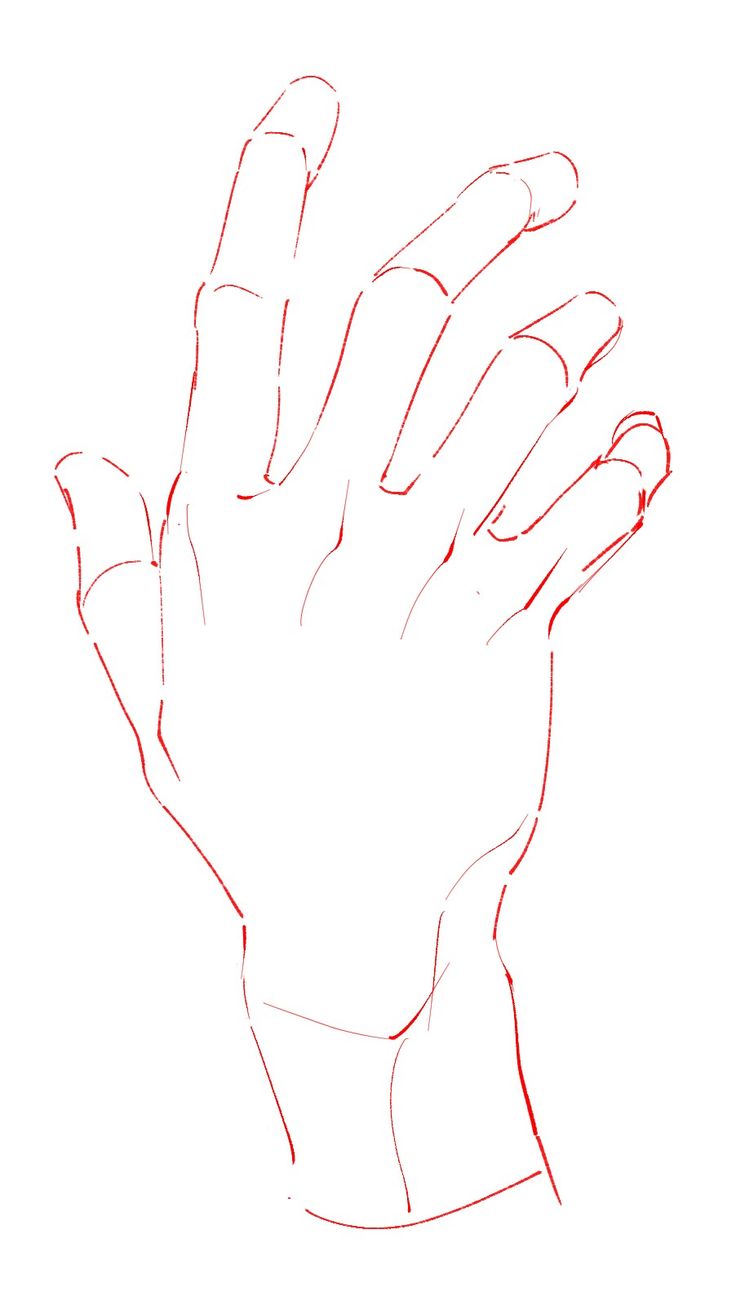 a drawing of a hand holding something in it's palm