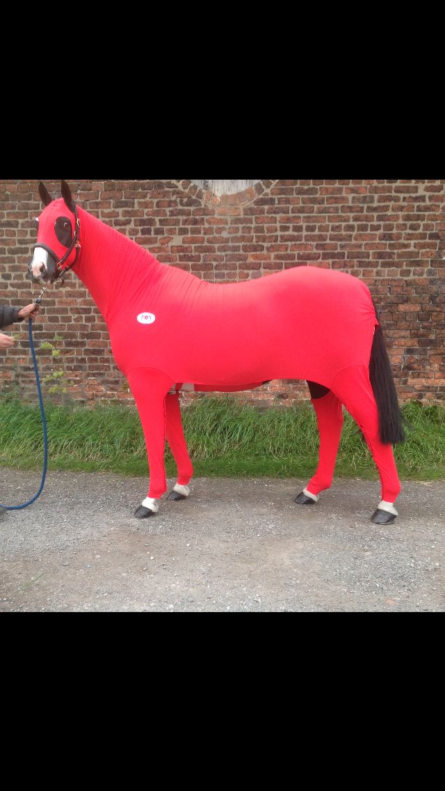 a man in red is standing next to a horse