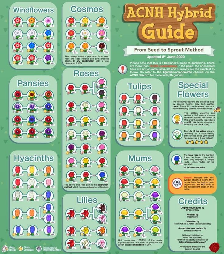 the ach hybrid guide from seed to spread method for plants, flowers and more