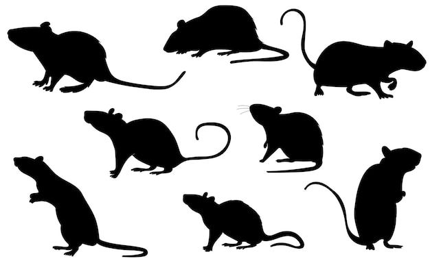 the silhouettes of mice are shown in different positions and sizes, including one rat