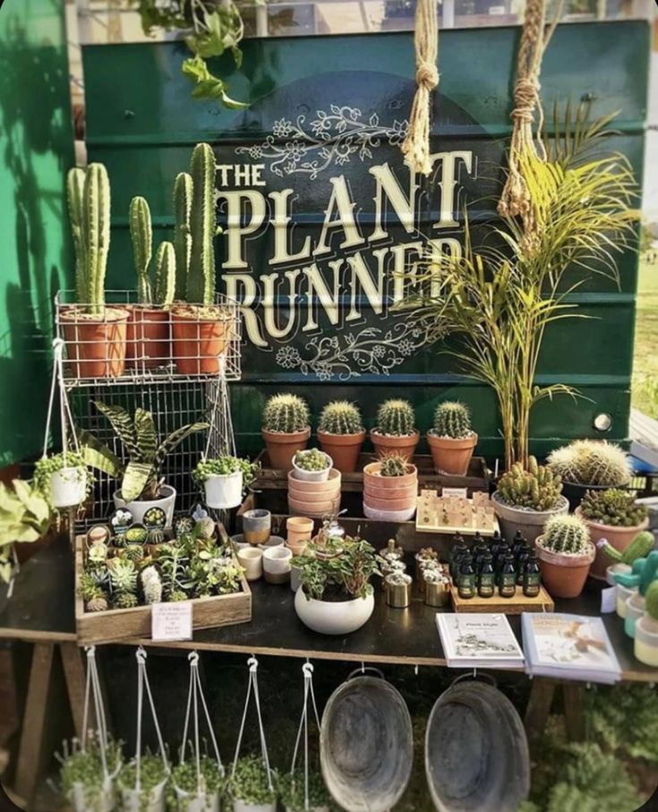 the plant runner booth is full of cacti and succulents