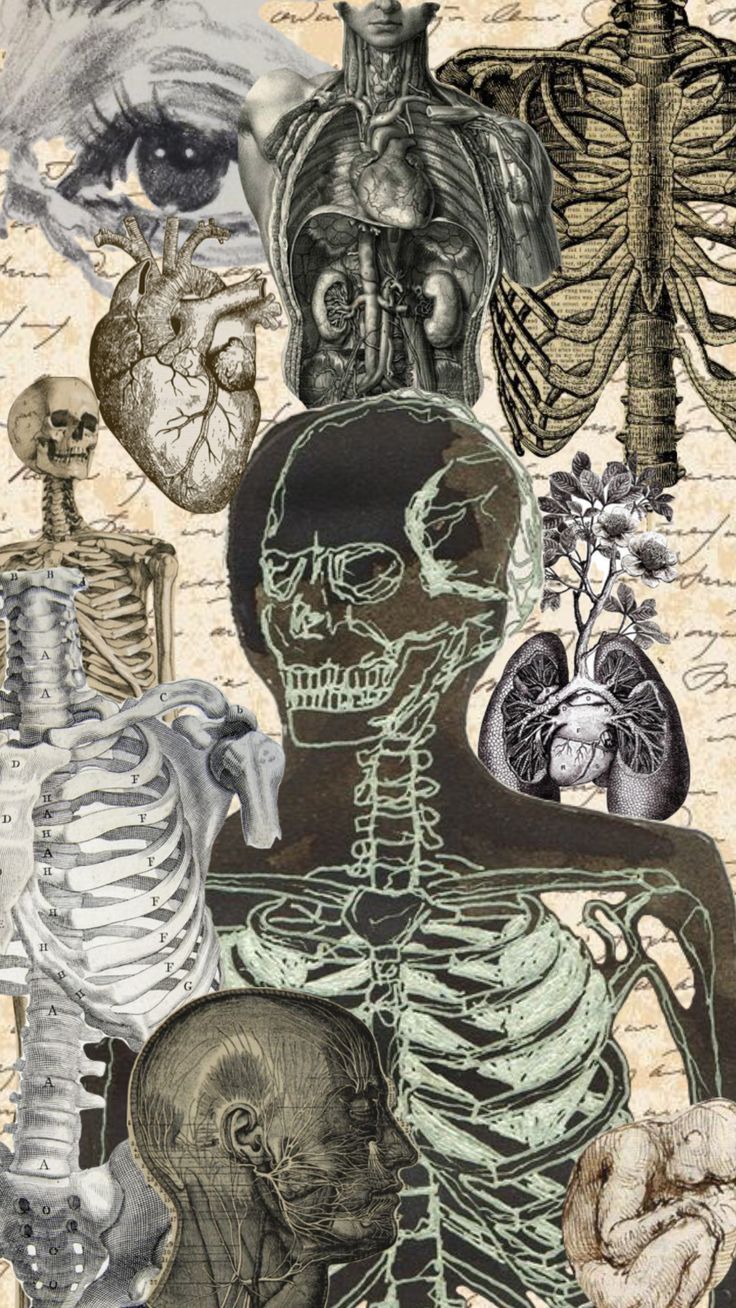 a collage of different types of human body parts