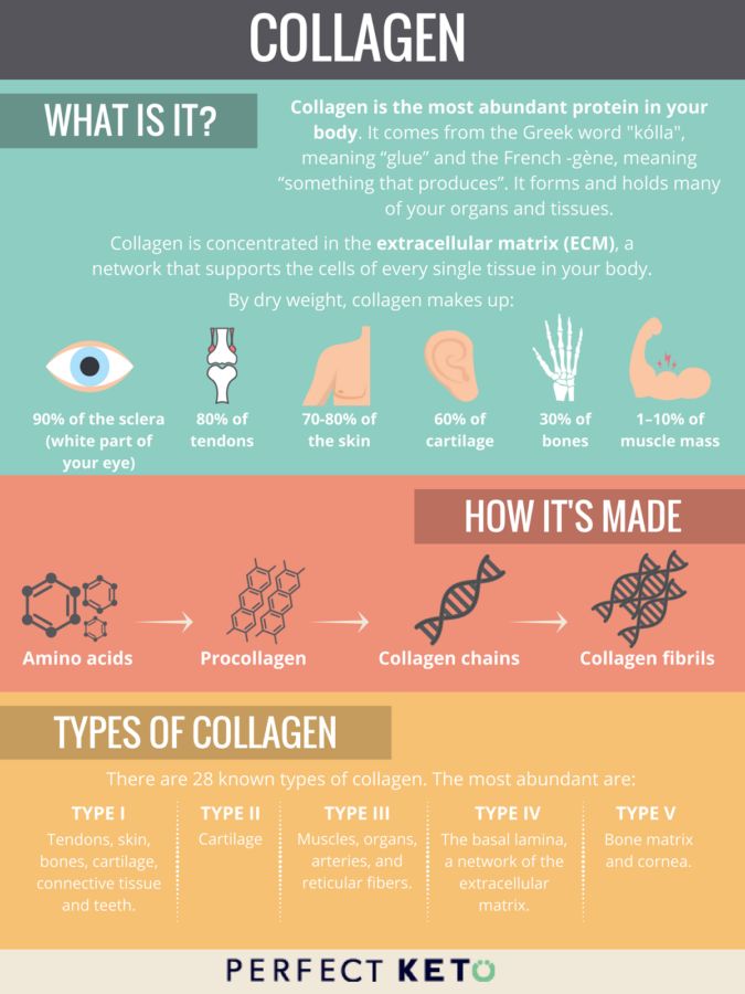 Health Benefits Of Collagen, What Is Collagen, Collagen Recipes, Endocannabinoid System, Collagen Benefits, Coconut Health Benefits, Vital Proteins, Benefits Of Coconut Oil, Collagen Supplements