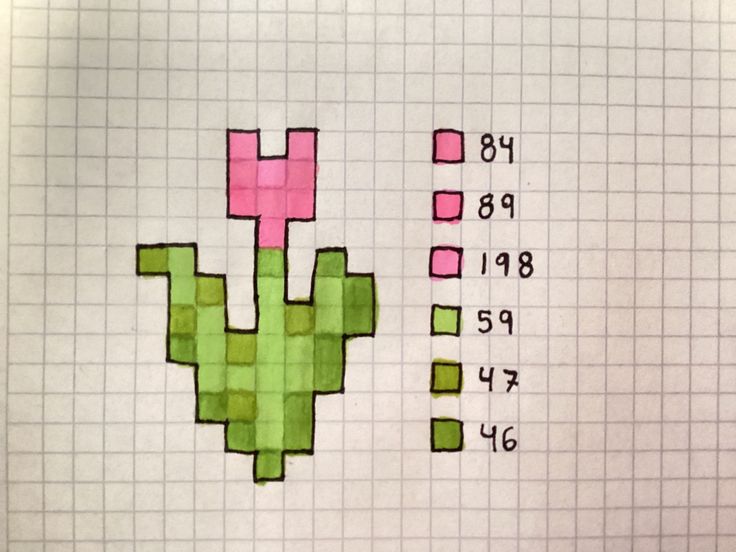 a drawing of a cactus and numbers on a piece of paper with graph paper in the background