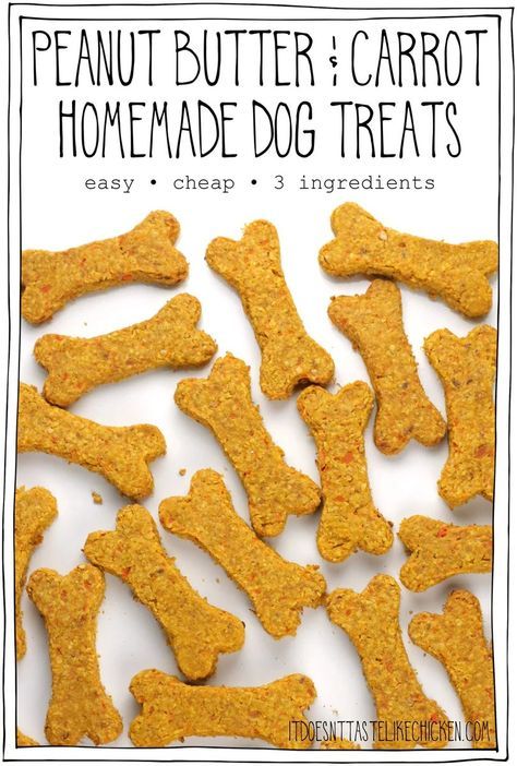 peanut butter and carrot homemade dog treats with text overlay that reads, peanut butter & carrot homemade dog treats