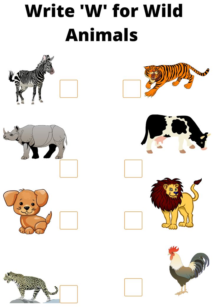 an animal worksheet for kids to learn how to write the letter w with animals