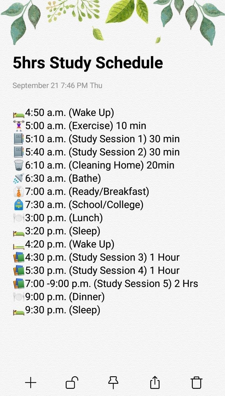 the 5hrs study schedule is displayed in this screenshote image with green leaves